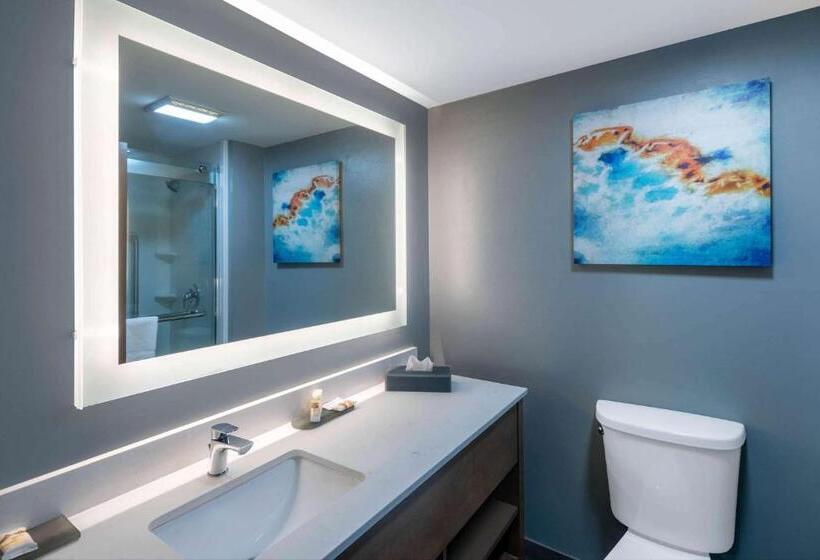 Номер Стандарт Кровать Кинг Адаптированный для Инвалидов, La Quinta Inn & Suites By Wyndham Albany Ga