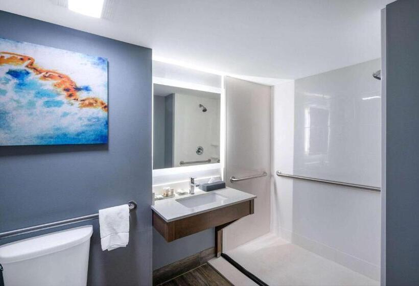 Номер Стандарт Адаптированный для Инвалидов, La Quinta Inn & Suites By Wyndham Albany Ga