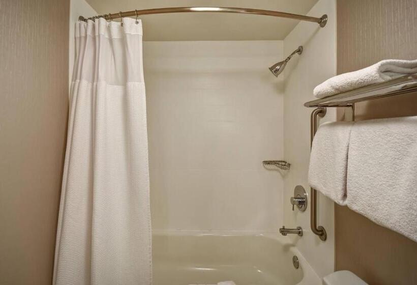 Люкс Кровать Кинг, Springhill Suites By Marriott Atlanta Kennesaw