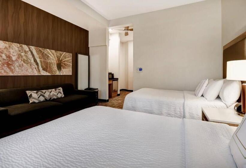 Люкс, Springhill Suites By Marriott Atlanta Kennesaw