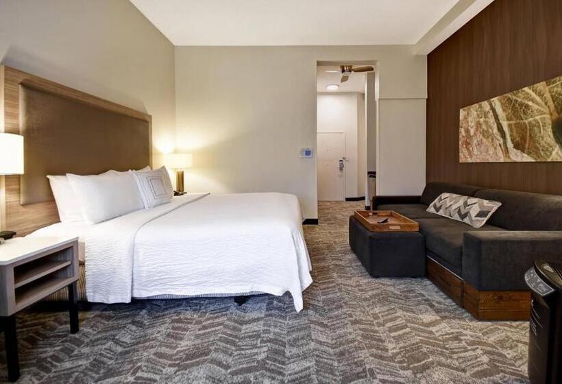 Люкс Кровать Кинг, Springhill Suites By Marriott Atlanta Kennesaw