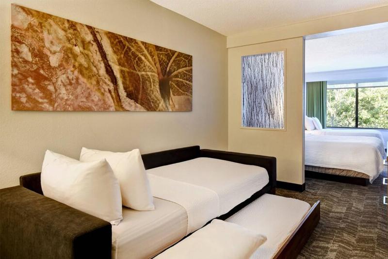 Люкс, Springhill Suites By Marriott Atlanta Kennesaw