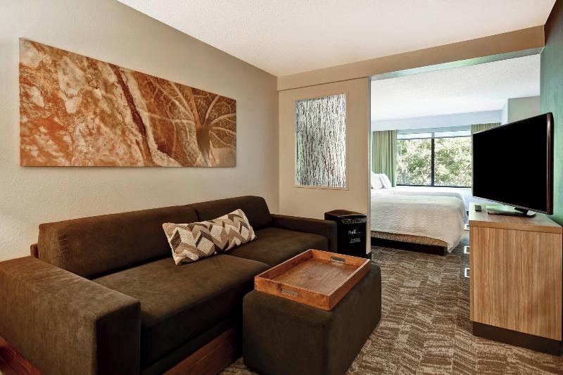 Люкс, Springhill Suites By Marriott Atlanta Kennesaw