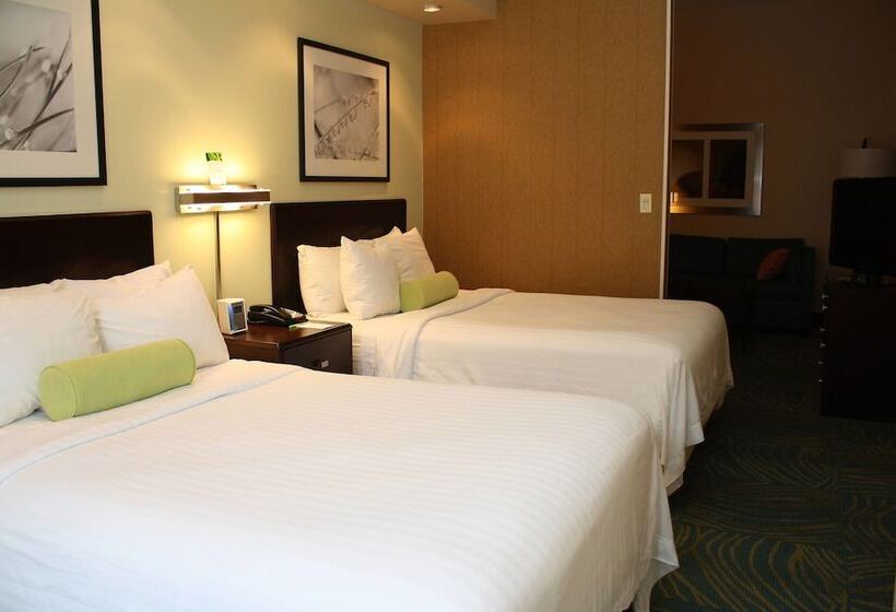 סוויטה, Springhill Suites Morgantown