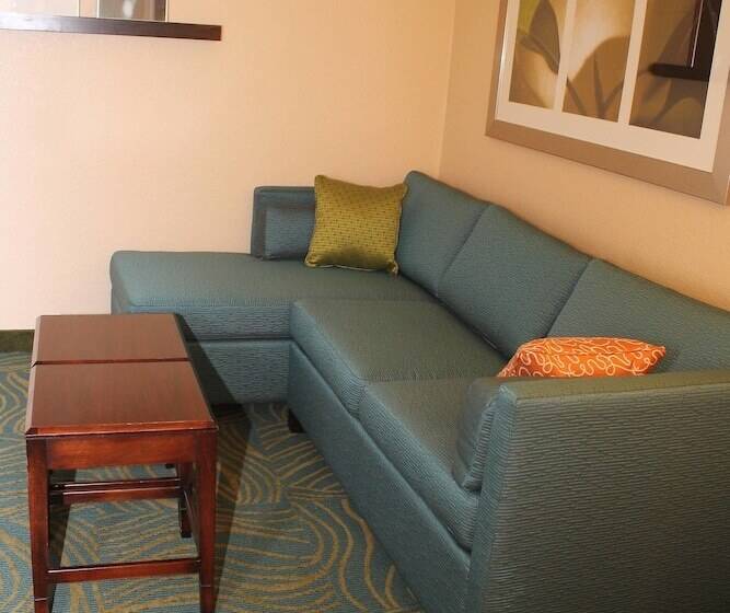 סוויטה, Springhill Suites Morgantown