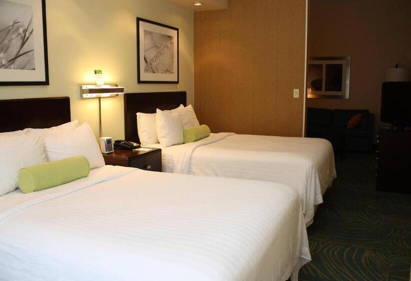 סוויטה, Springhill Suites Morgantown