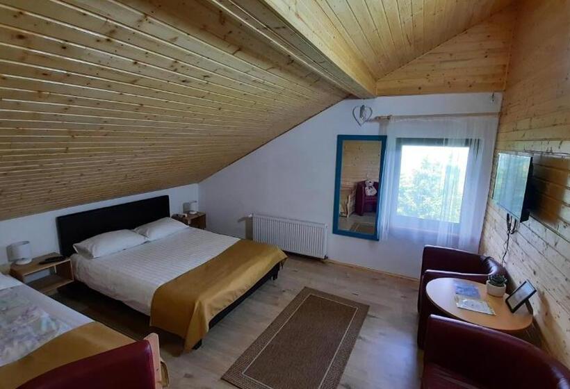 استودیو خانوادگی, Casa De Vacanta Two Brothers Concept