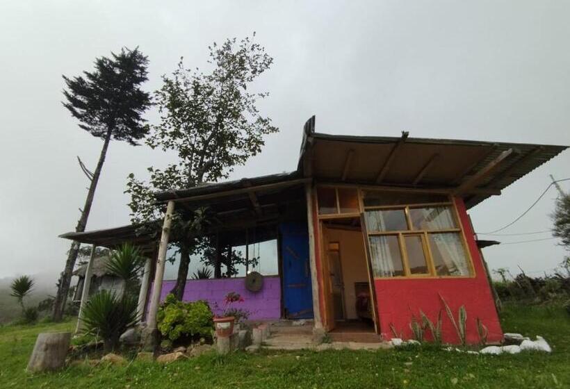 패밀리 룸, Starlight Mountain Lodge