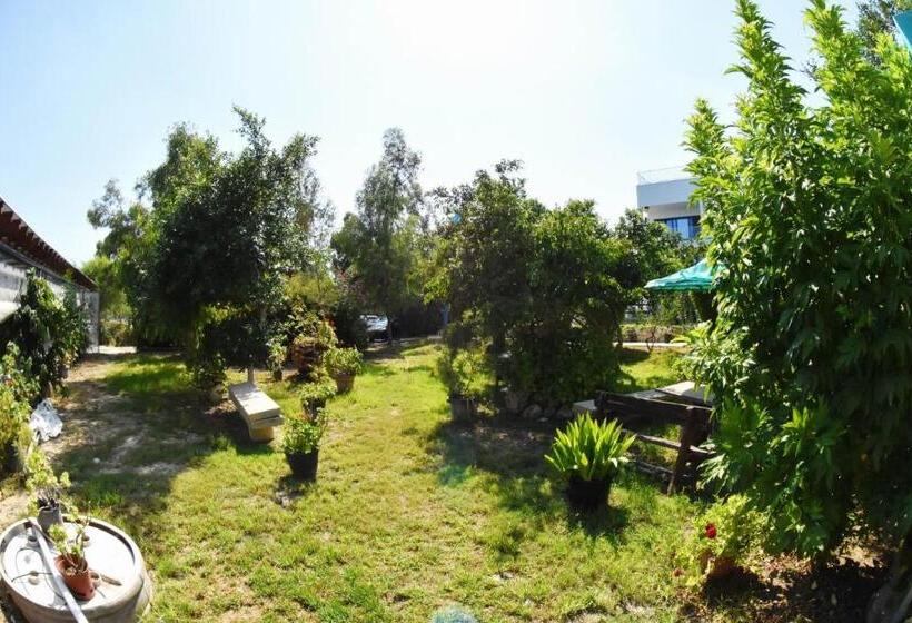 스탠다드 스튜디오 바다 전망, Governors Beach Panayiotis
