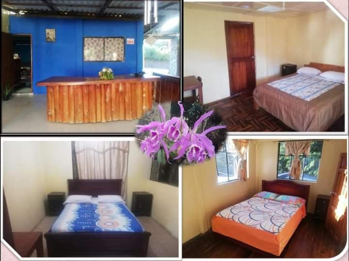 Номер Deluxe, Residencial Valle Sagrado Vilcabamba