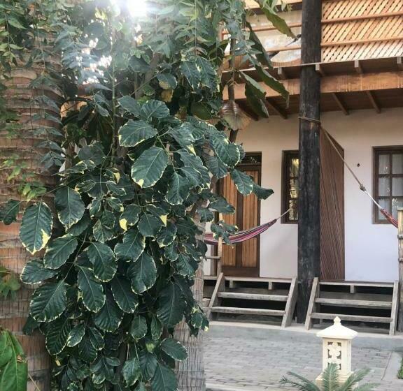 اتاق خانوادگی با چشم‌انداز باغ, Los Cocos De Vichayito