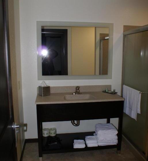 Стандартный Номер Кровать Кинг, Boarders Inn & Suites By Cobblestone Hotels   Syracuse