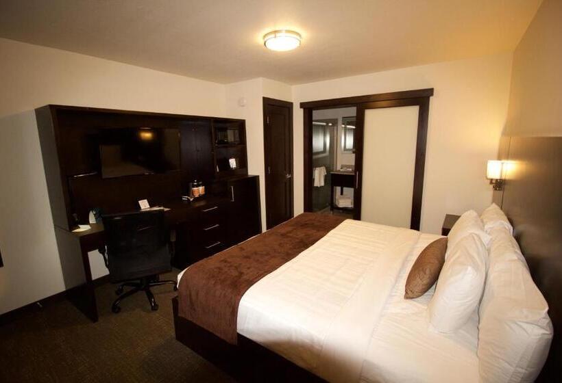 Стандартный Номер Кровать Кинг, Boarders Inn & Suites By Cobblestone Hotels   Syracuse