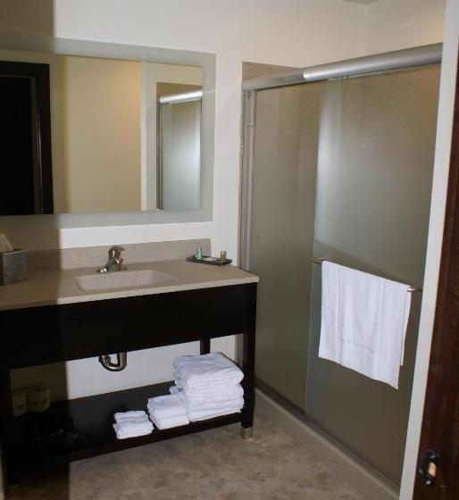 Четырехместный Номер Стандарт, Boarders Inn & Suites By Cobblestone Hotels   Syracuse