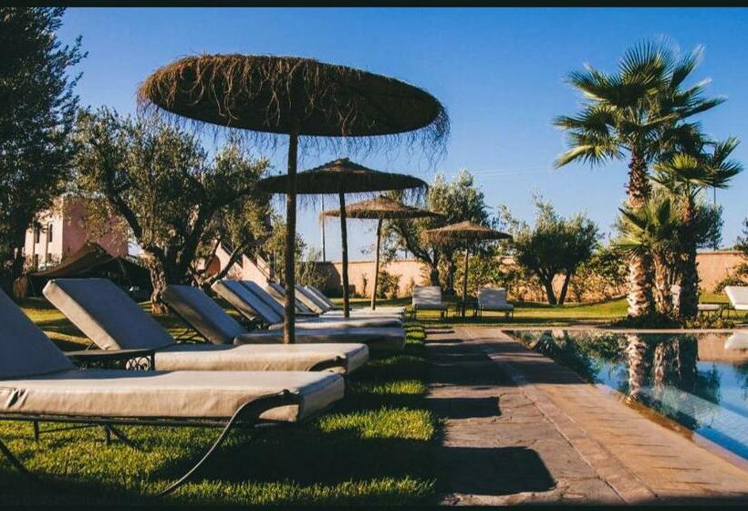 Номер Стандарт, Ourika Camp Marrakech