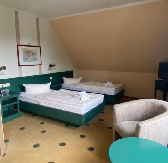 Номер Стандарт, Müritz Landhotel Grüner Baum