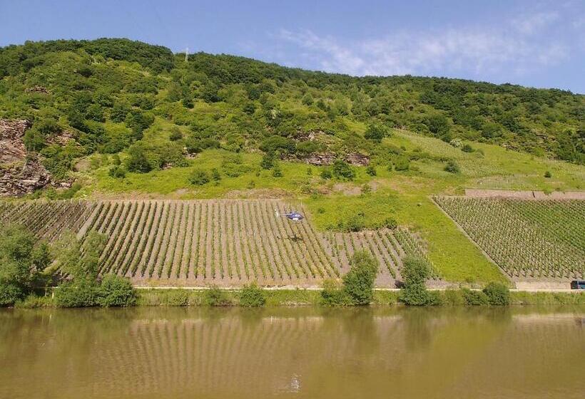 Номер Стандарт, Weingut Gästehaus Karl Otto Nalbach