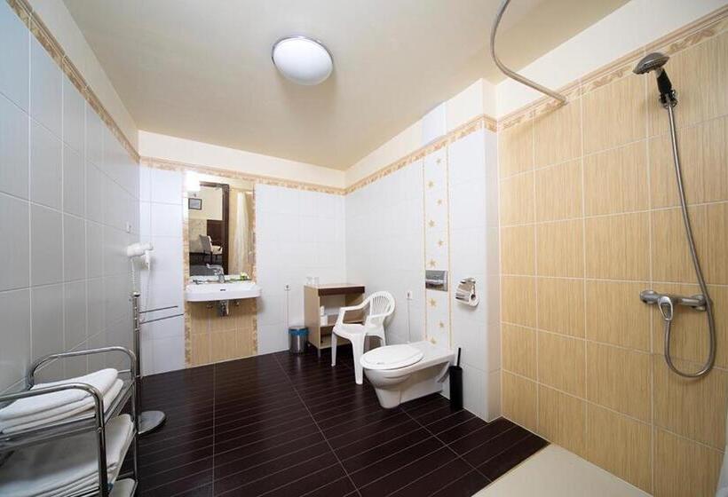 Номер Стандарт Адаптированный для Инвалидов, Barka Galéria Hotel és étterem