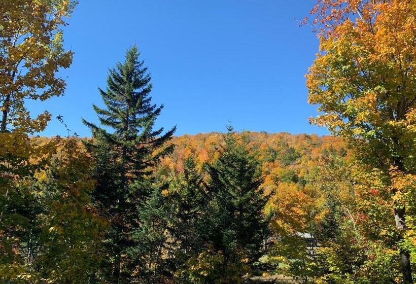 Стандартный Номер Кровать Кинг, Lodge Nature Laurentides