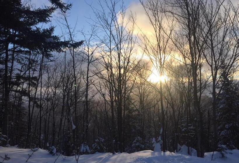 스탠다드 룸 킹사이즈 침대, Lodge Nature Laurentides