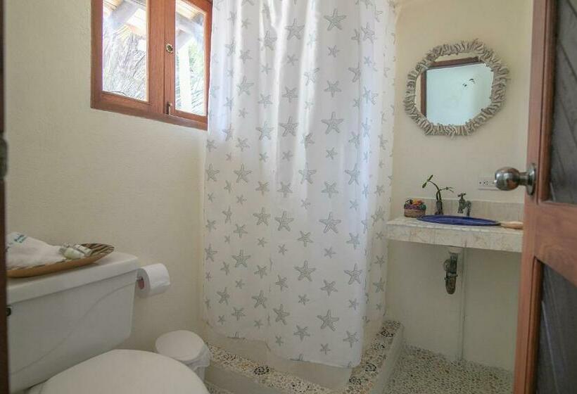 Номер Стандарт, Cabana Salsipuedes