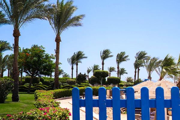 اتاق استاندارد با چشم‌انداز باغ, Grand Oasis Resort