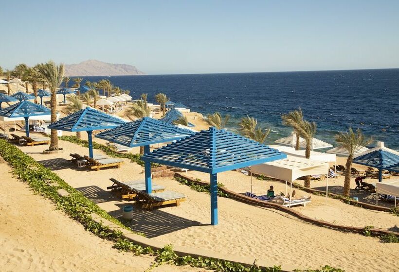 سوییت با چشم‌انداز استخر, Grand Oasis Resort