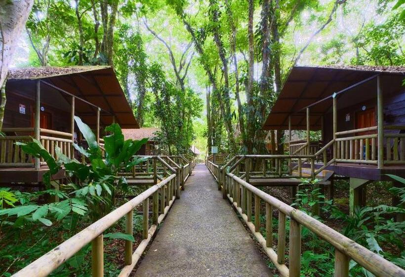 Номер Стандарт, Evergreen Lodge