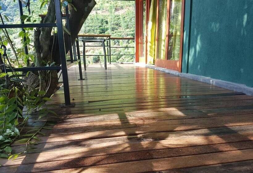 标准间带双人床, Paradise Eco Garden