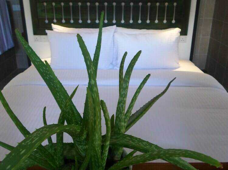Шале Deluxe 1 Спальня, Sennya Resorts