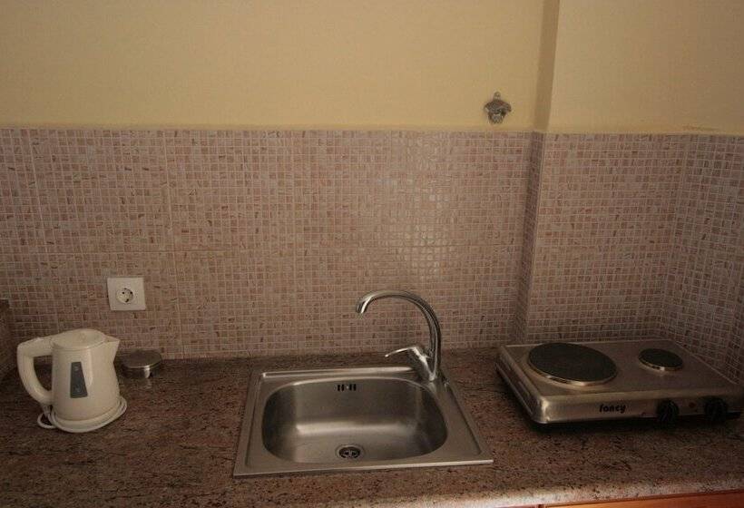 استودیوی استاندارد, Village Inn Studios & Family Apartments