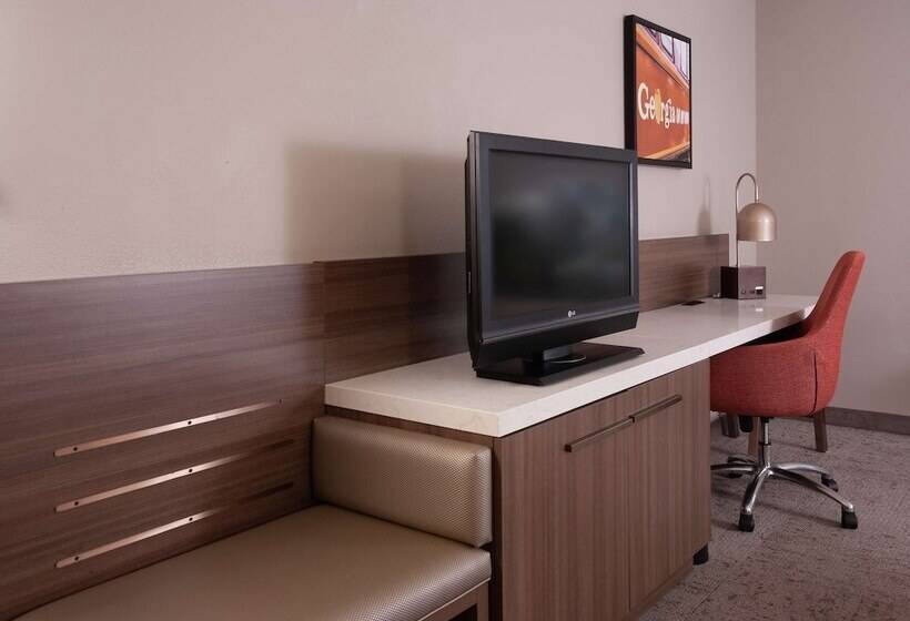 Номер Стандарт, Hilton Garden Inn Atlanta Airport/millenium Center