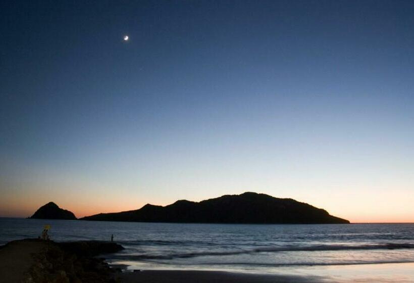 اتاق استاندارد, Las Flores Beach Resort