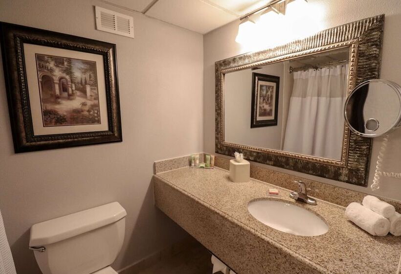 行政房间, Wyndham Houston Near Nrg Park   Medical Center