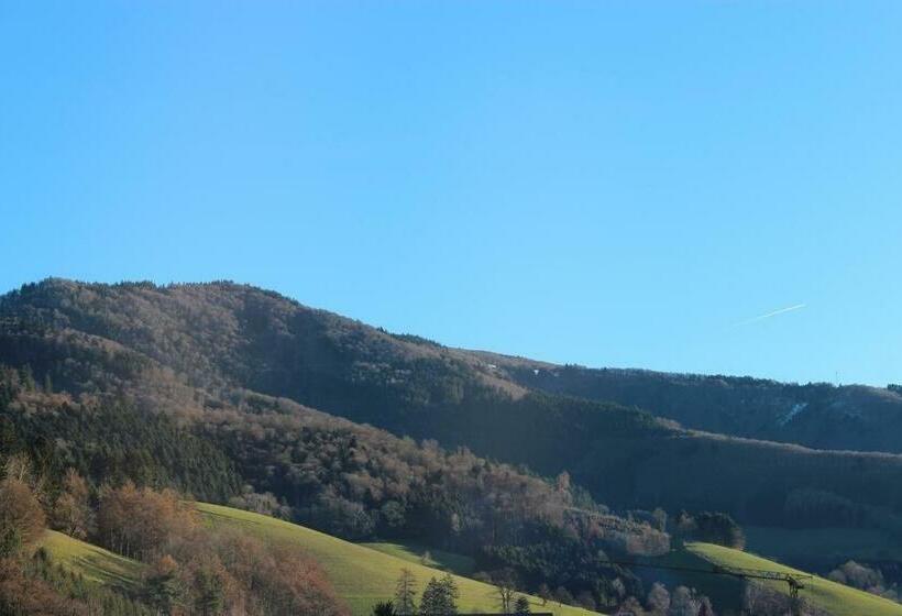 스탠다드 룸, Gasthaus Zur Linde