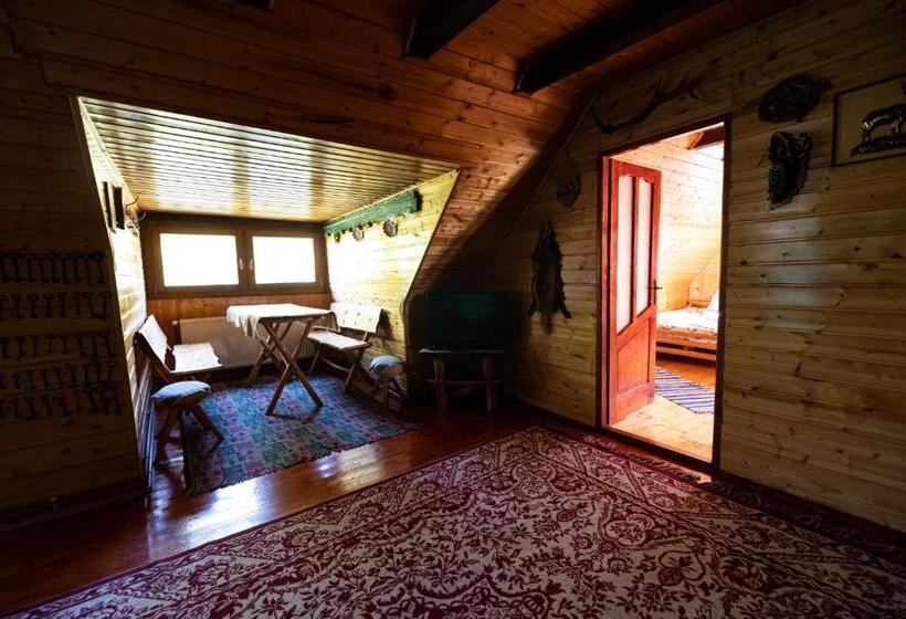Четырехместный Номер Стандарт, Casa De Vacanta Vidrighin