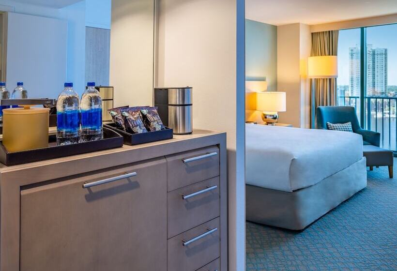 套房, Hyatt Regency Jacksonville Riverfront