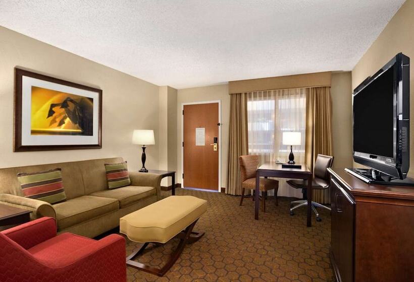 Люкс Премиум, Embassy Suites By Hilton Austin Arboretum