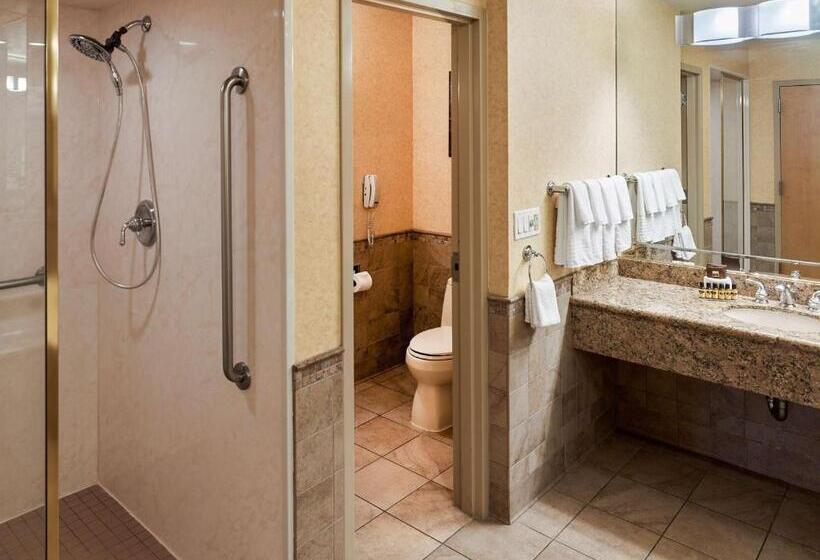 Полулюкс, Squire Resort At The Grand Canyon, Bw Signature Collection