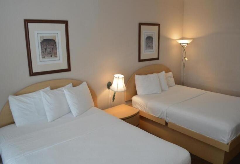 豪华房间, Island House South Beach
