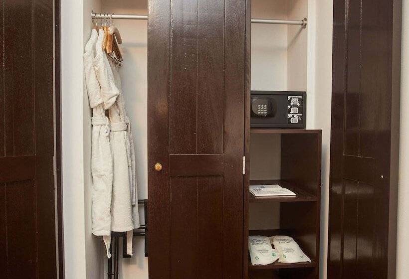 اتاق سوپریور, Casa Andina Premium Puno