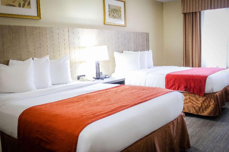 Номер Executive, Flamingo Inn