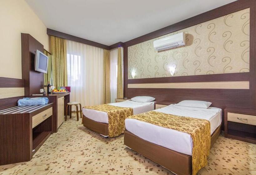 Номер Стандарт, Lonicera World