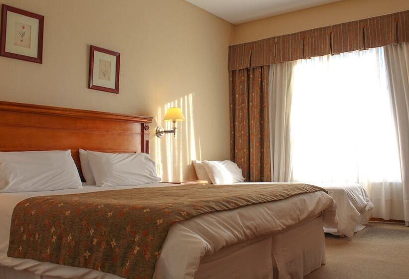 اتاق استاندارد سه نفره, Terrazas Del Calafate
