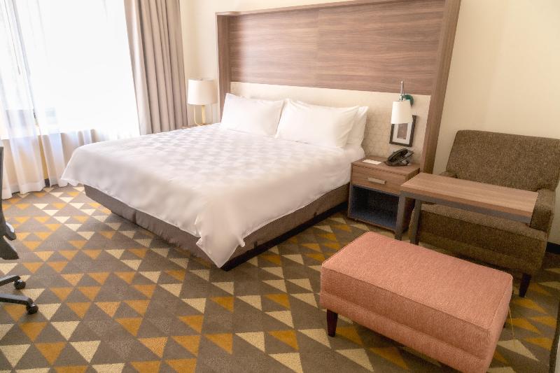 身障者適用キングサイズベッドルーム, Holiday Inn Tlaxcala, An Ihg