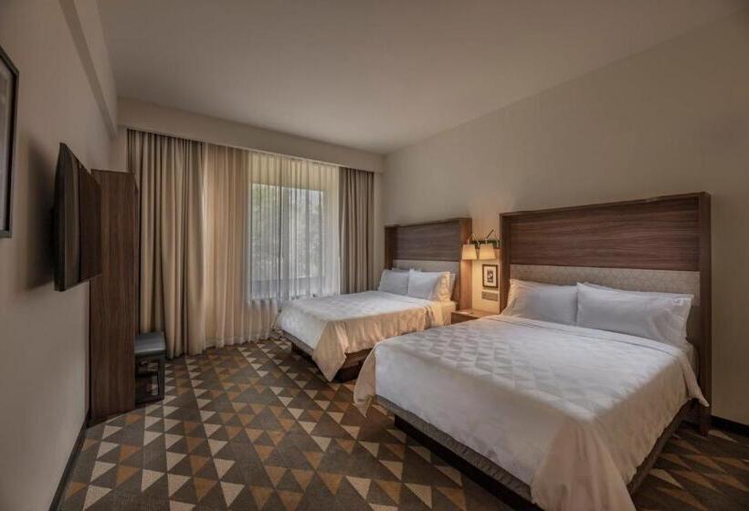 スタンダードルーム, Holiday Inn Tlaxcala, An Ihg