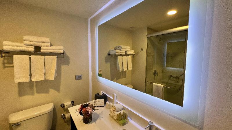 キングサイズベッドのスタンダードルーム, Holiday Inn Tlaxcala, An Ihg