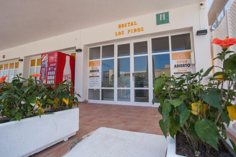スタンダードシングルルーム, Hostal Los Pinos