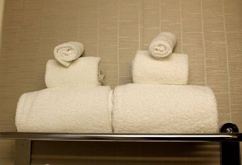 Люкс, Holiday Inn Express Hotel & Suites Sherwood Park Edmonton Area, An Ihg