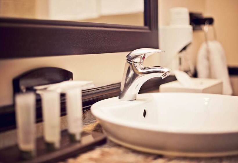 침실 2개 스위트, Premier Hotel Regent